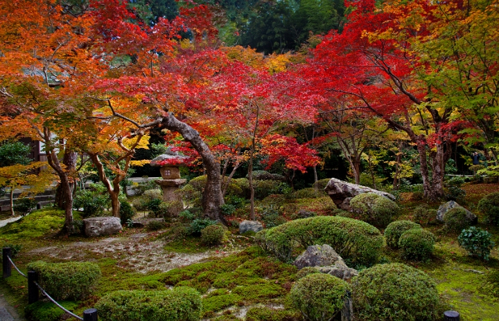 Enkoji Temple 11-2825.jpg